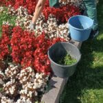 Képes beszámoló – szeptember