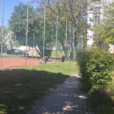 Domb u-i labdapálya háló javítása