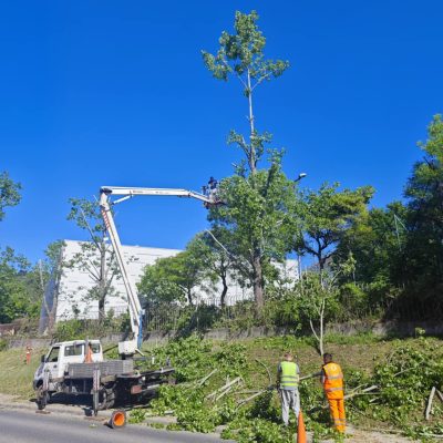 Famunkák, Illyés gimnázium