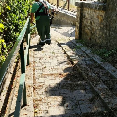 Kőszikla u-i lépcső gyommentesítése
