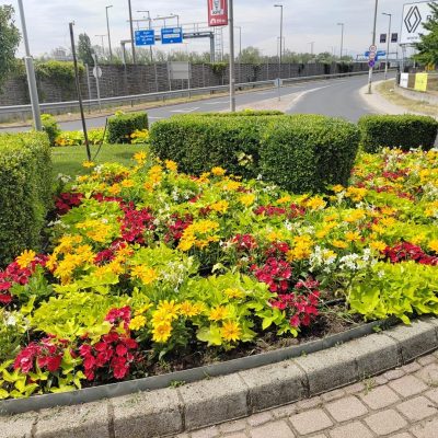 Media Markt előtti körforgalom (2)