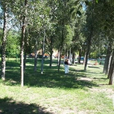 Nádasdűlő stny. (1)