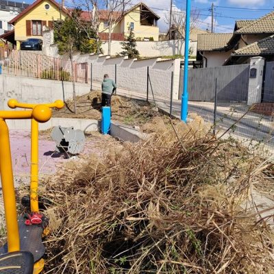 Ostor u-i játszótér évelő visszavágása