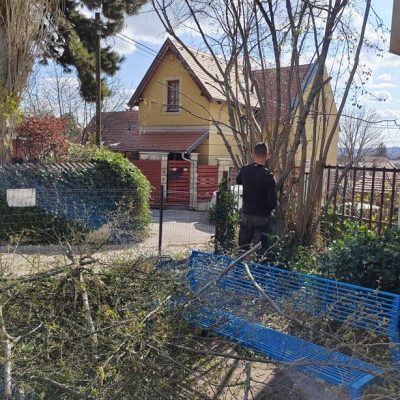 Ostor u-i játszótéren fa gallyazása