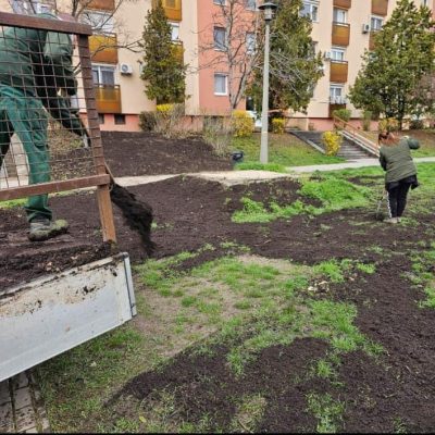 Patkó u. tereprendezés, füvesítés, sövénytelepítés