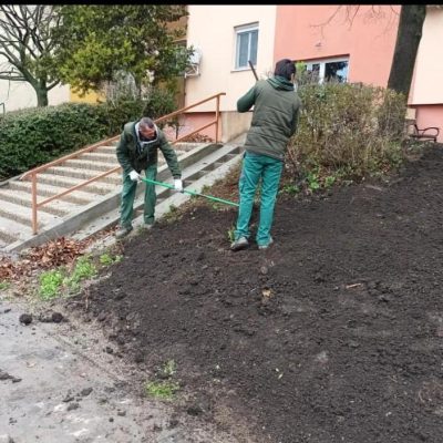 Patkó u. tereprendezés, füvesítés, sövénytelepítés.