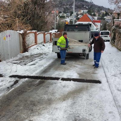 Rezeda_20260102_ (11)