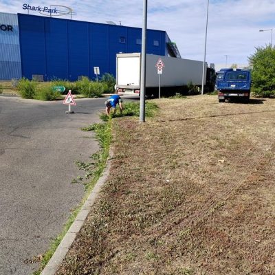 Vasút u. közlekedést zavaró vadon nőtt növényzet kivágása