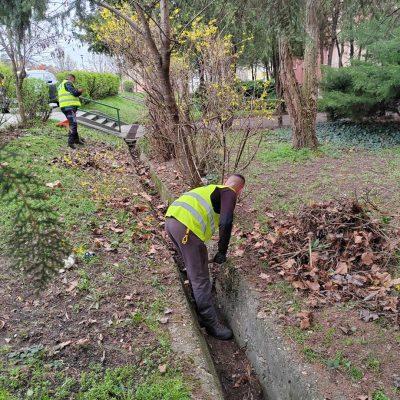 Zöldfelület rendezés Patkó utcában