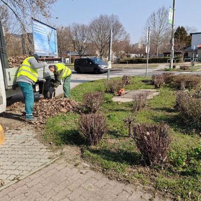 Zöldfelület takarítása Baross-Bretzfeld u.