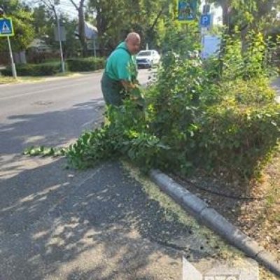 beláthatóságot biztosító gallyazás Szellő-Budapesti u sarkon