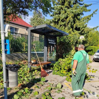 buszmegálló körül növényzet nyírása