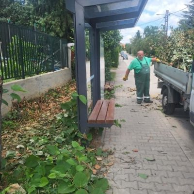 buszmegálló körül növényzet vágása