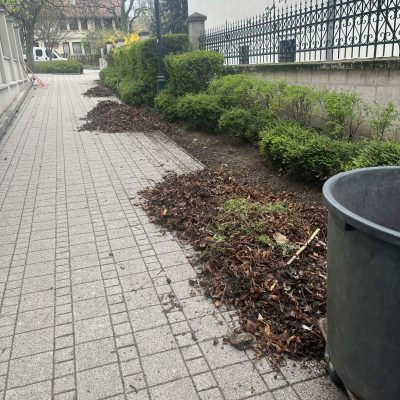 cserjealj takarítás Templom tér