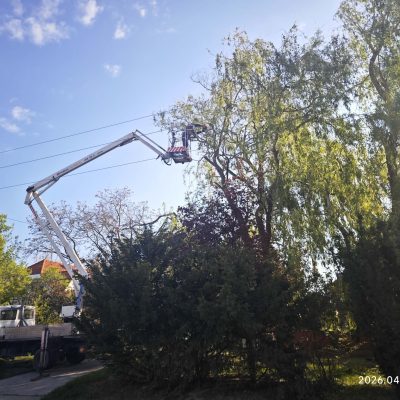 elektromos vezeték körüli gallyazás Átlós u-ban