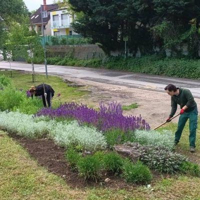 évelőágyás gyomlálása