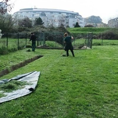 fű gyűjtés lakótelepen