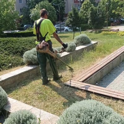 fűkaszálás lakótelepen (2)
