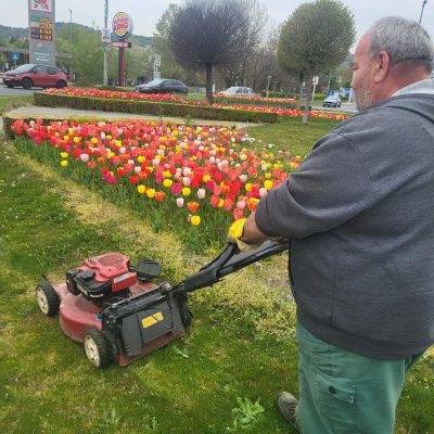 fűnyírás Auchan körforgalomban