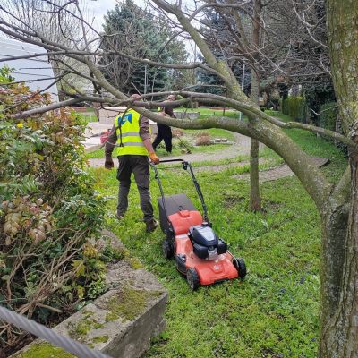 fűnyírás Csillag u-i parkban