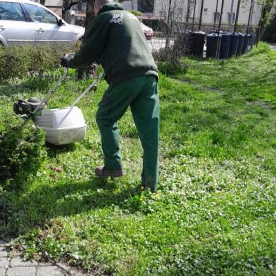 fűnyírás Domb utcai parkban