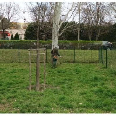 fűnyírás LÉvai u-i kutyafuttatón