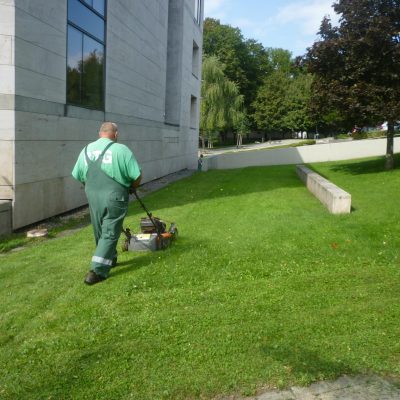 fűnyírás öntözött parkban