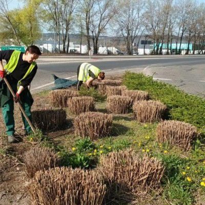 gyomlálás évelőágyásban