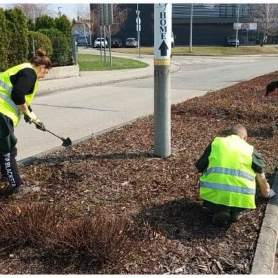 gyomlálás osztósávban (1)