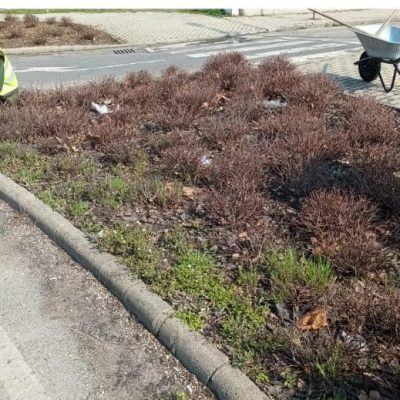 gyomlálás osztósávban (2)