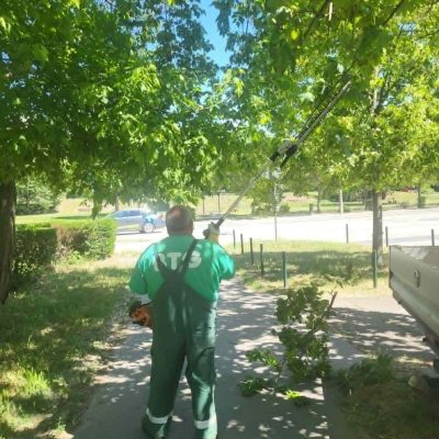 járda űrszelvény gallyazás