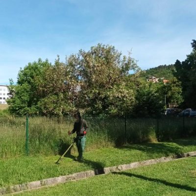 kaszálás árokparton