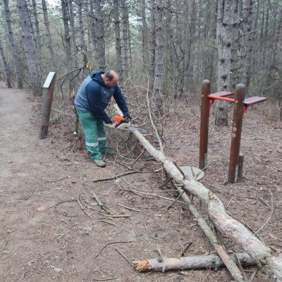 kidőlt fa feldarabolása Törökugrató tornaösvényen