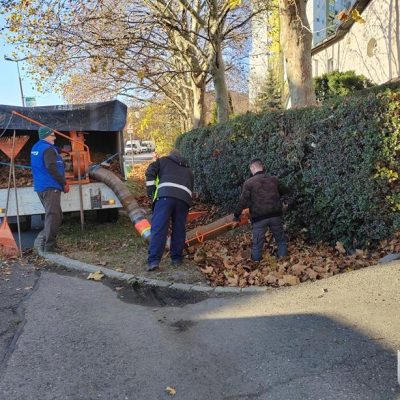 lombgyűjtés Szivárvány-Baross u árok mentén