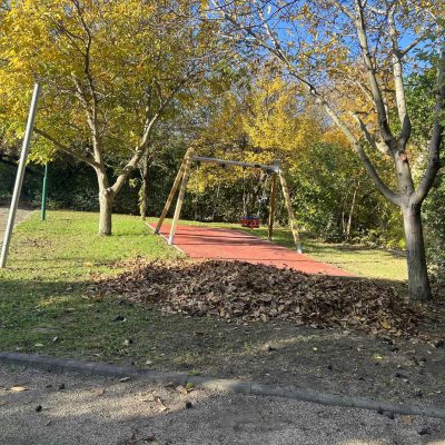 lombgyűjtés játszótéren (2)