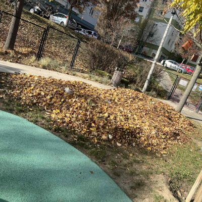 lombgyűjtés játszótéren (3)