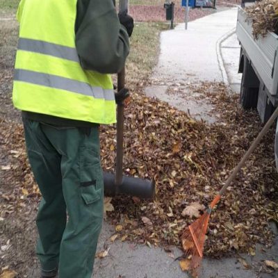 lombgyűjtés lakótelepen (1)