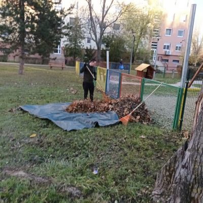 lombgyűjtés lakótelepen (1)