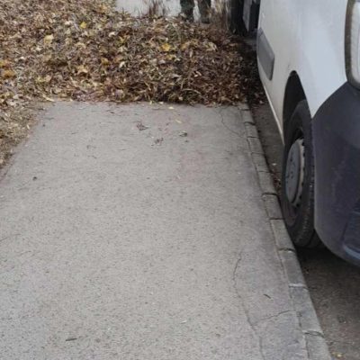 lombgyűjtés lakótelepen (2)