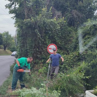 növényzet visszavágás KRESZ tábla körül