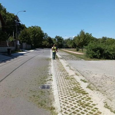 parlagfű kaszálás