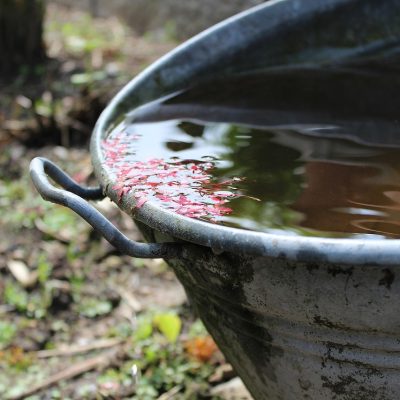 rainwater-140754_1280