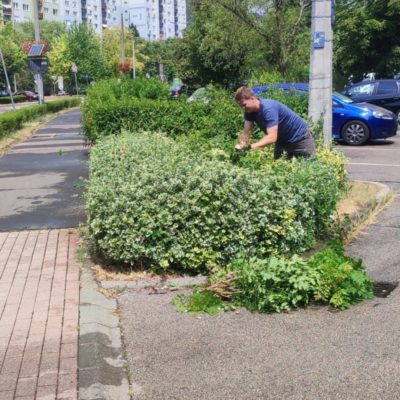 sövény igazítása Szivárvány u.