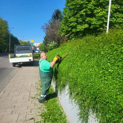 sövény nyíírás Városháza támfal