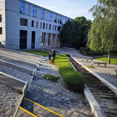 Sövénynyírás