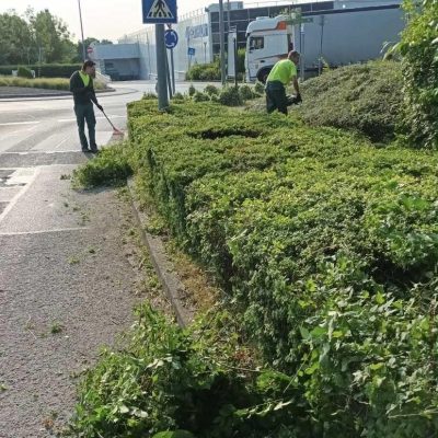 sövénynyírás Baross u.