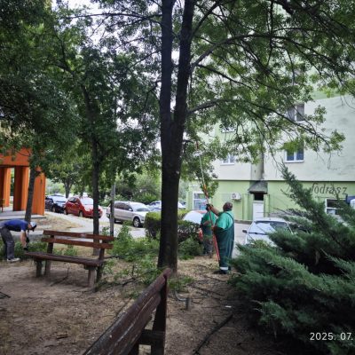 száraz és belógó gallyak levágása lakótelepen