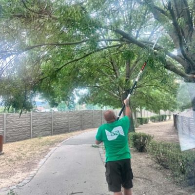 szárazgallyazás Szabadidőparkban