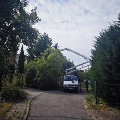 szárazgallyazás kosaras autóról Csillag u (2)