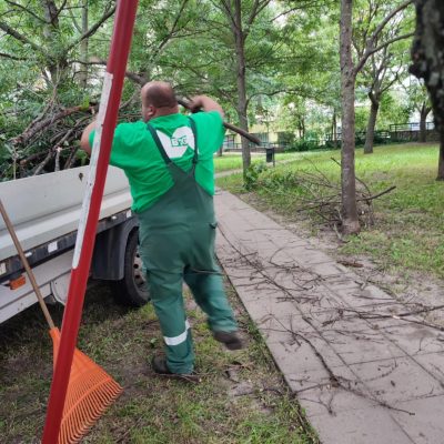 szélben letört száraz gallyak ősszeszedése